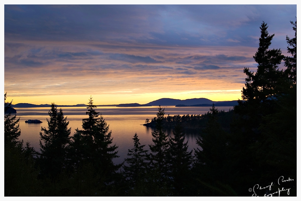 Peace on Chuckanut Bay