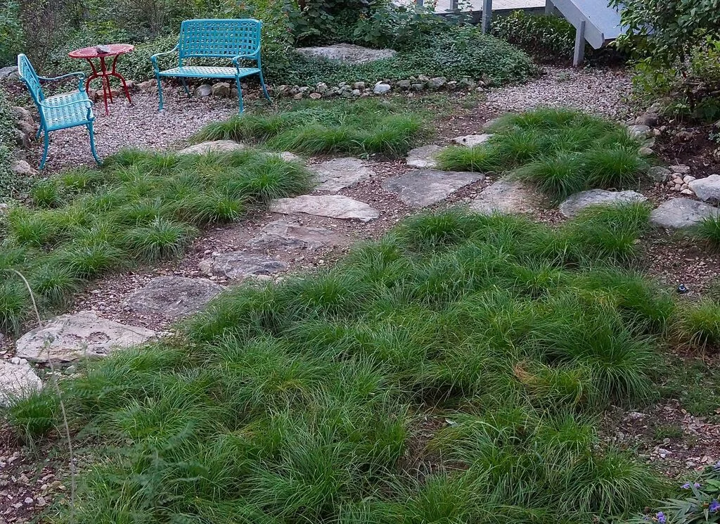 Above: Here’s the same area of the yard – the AFTER photo – with new rock pathways and lovely, bushy sedge plantings. Mrs. Perkins said she loves her ‘new yard.