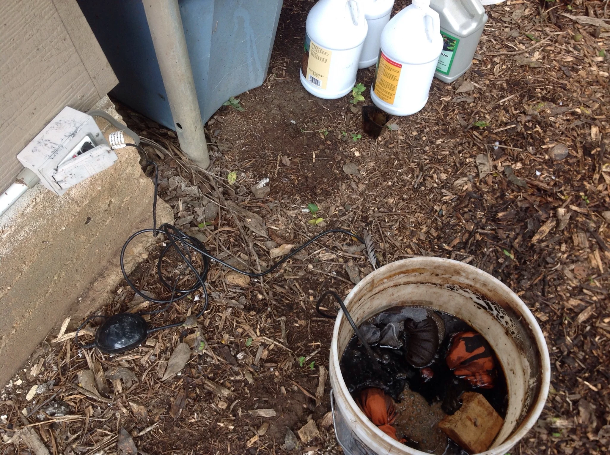 Bucket with aquarium bubbler plugged in- you can see the tea bags and the brick in the bucket. The bottles of liquid ingredients are in the background.