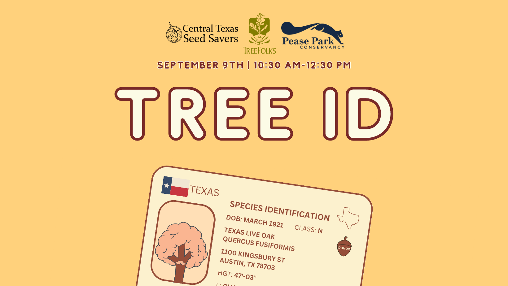 Tree ID for Seed Savers Walk