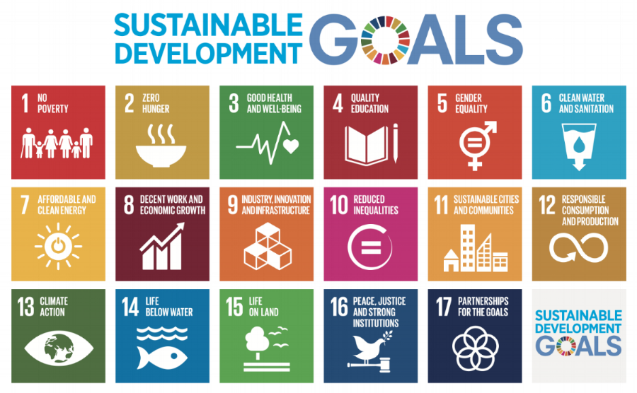 Slide showing full set of UN Sustainable Development Goals used for design context.