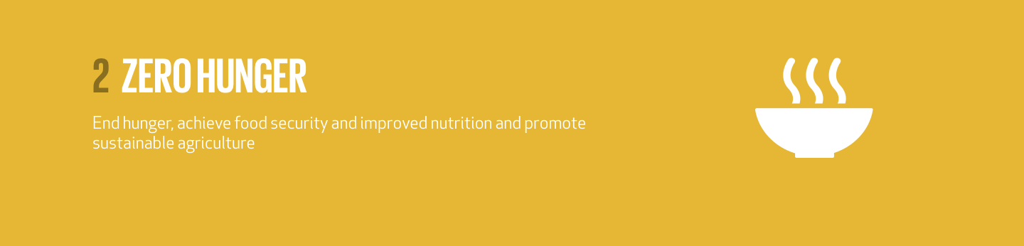 Slide highlighting UN Sustainable Development Goal 2: Zero Hunger.