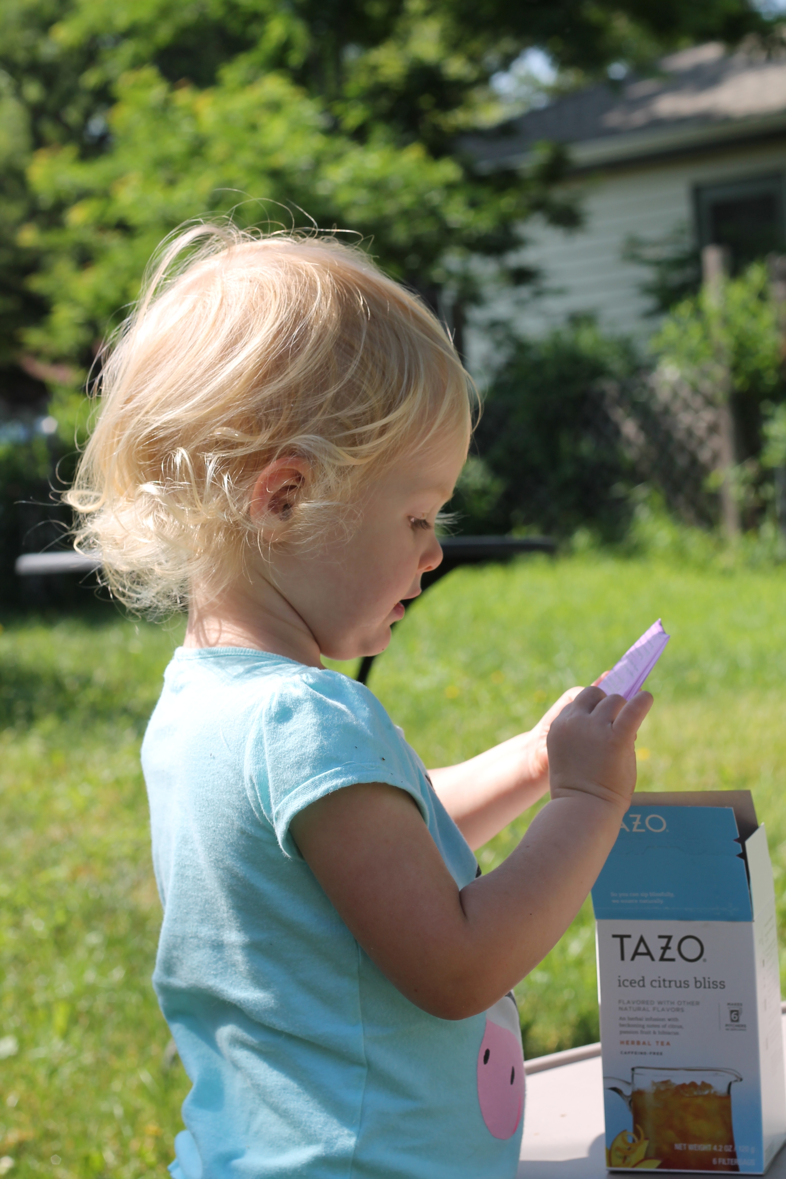 Make Sun Tea is a fun, easy, and tasty activity for children that can be used as a teaching lesson about transformation.