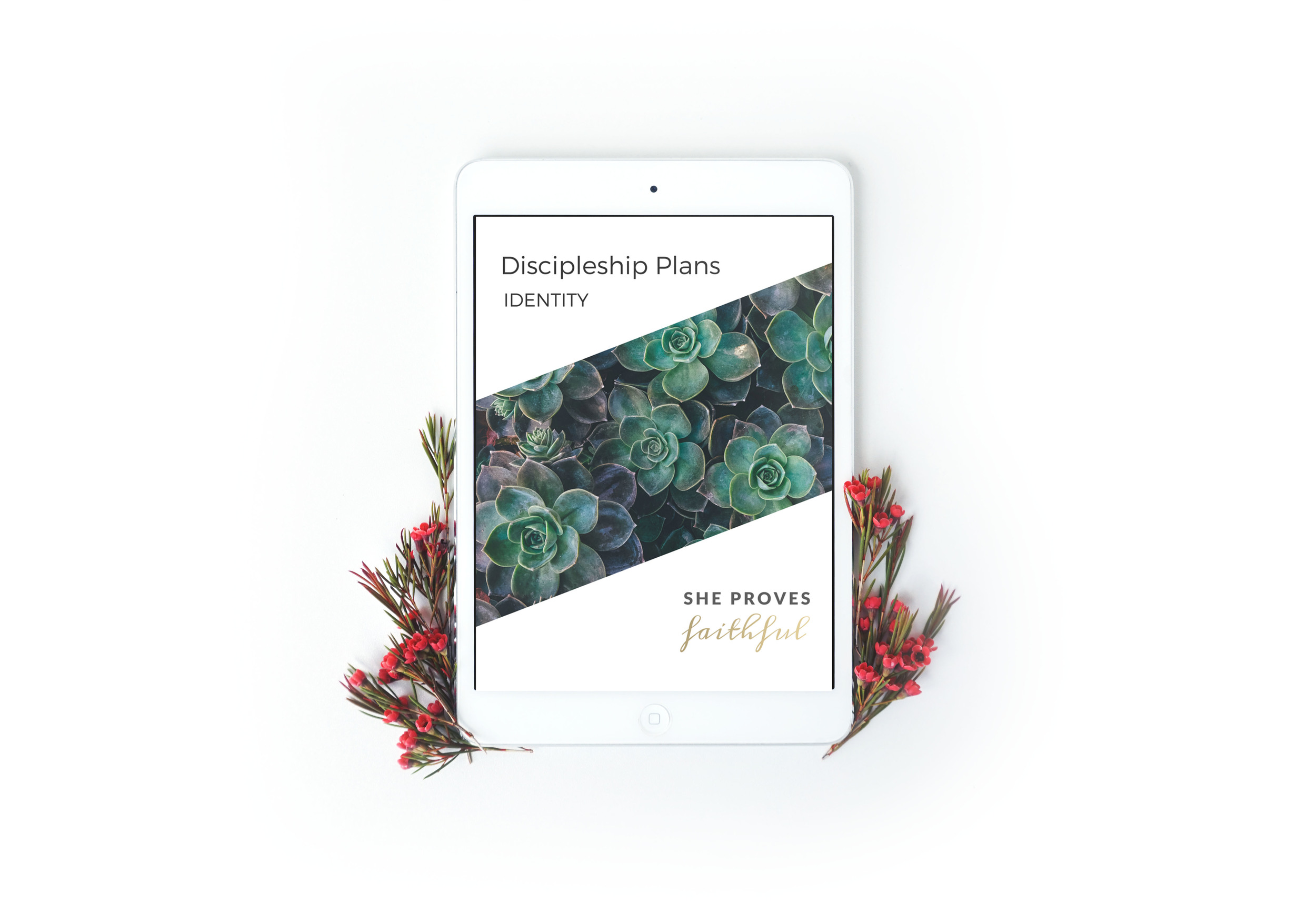 DP Identity ipad.jpg