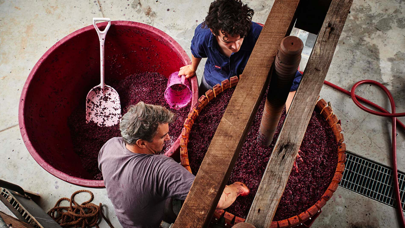An Essential Guide to Margaret River's Must-Visit Wineries