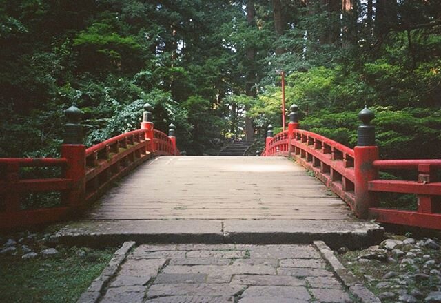 Mt. Haguro, Yamagata #filmfeed #filmcommunity #shotonfilm #pentaxespio #filmisalive #japanonfilm