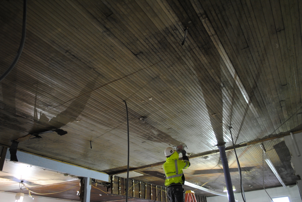 March- ceiling cleaning.jpg