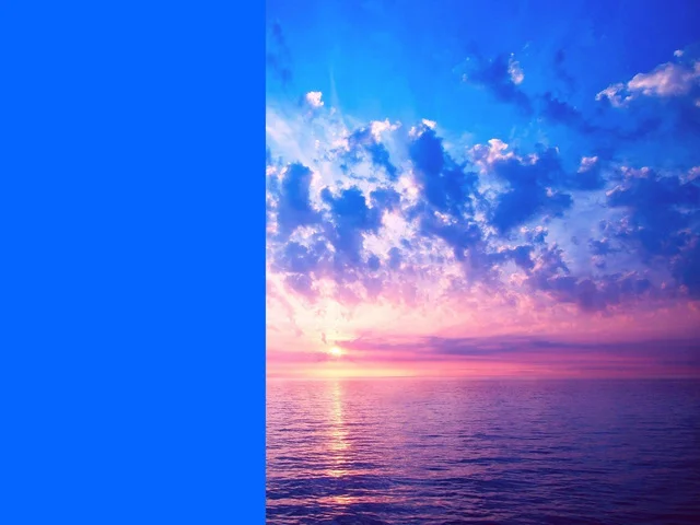 Twitter Conservation Flag, Proposal (2016)