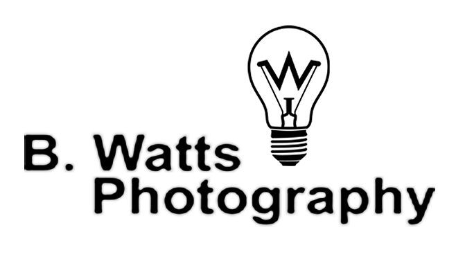 B. WATTS PHOTOGRAPHY COLLECTIVE: VISUALS & DESIGN AGENCY
