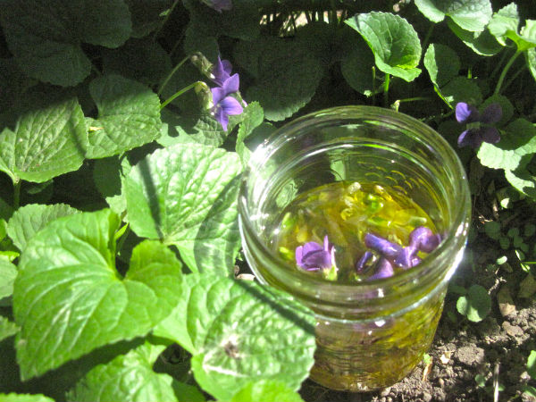Cooling, soothing and protecting - violet infused oil