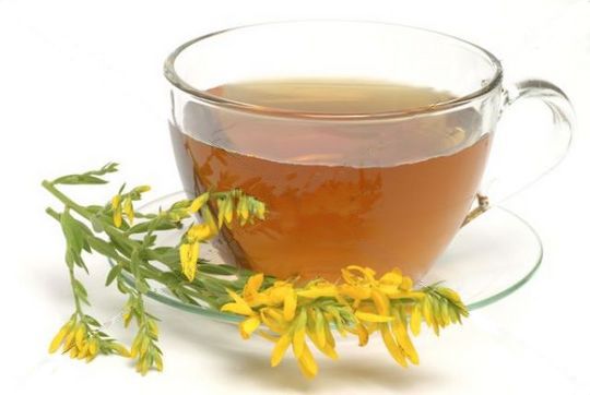 Enjoy a simple Goldenrod infusion to rejuvenate your kidneys.