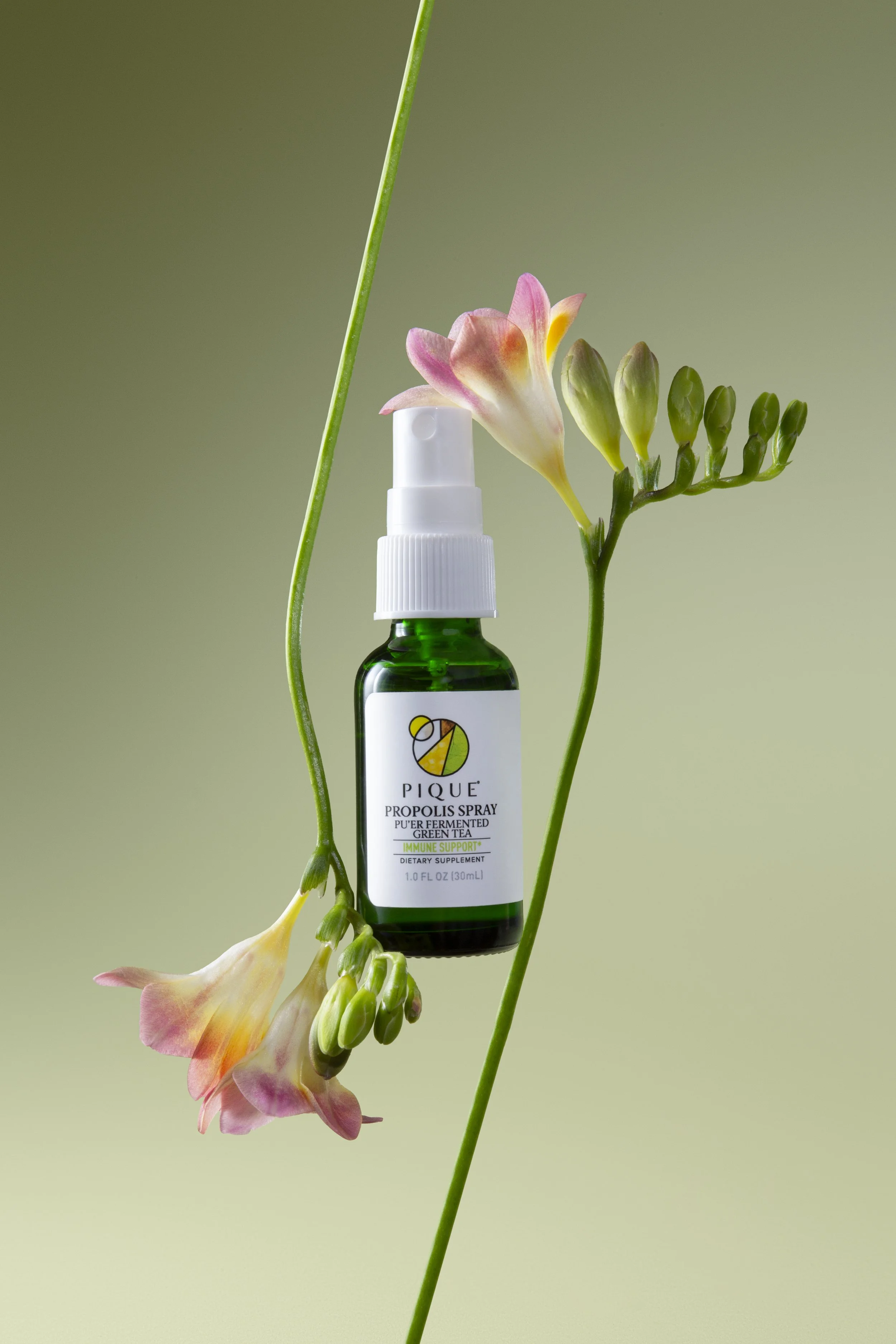 20260303_PiquePropolis9848.jpg