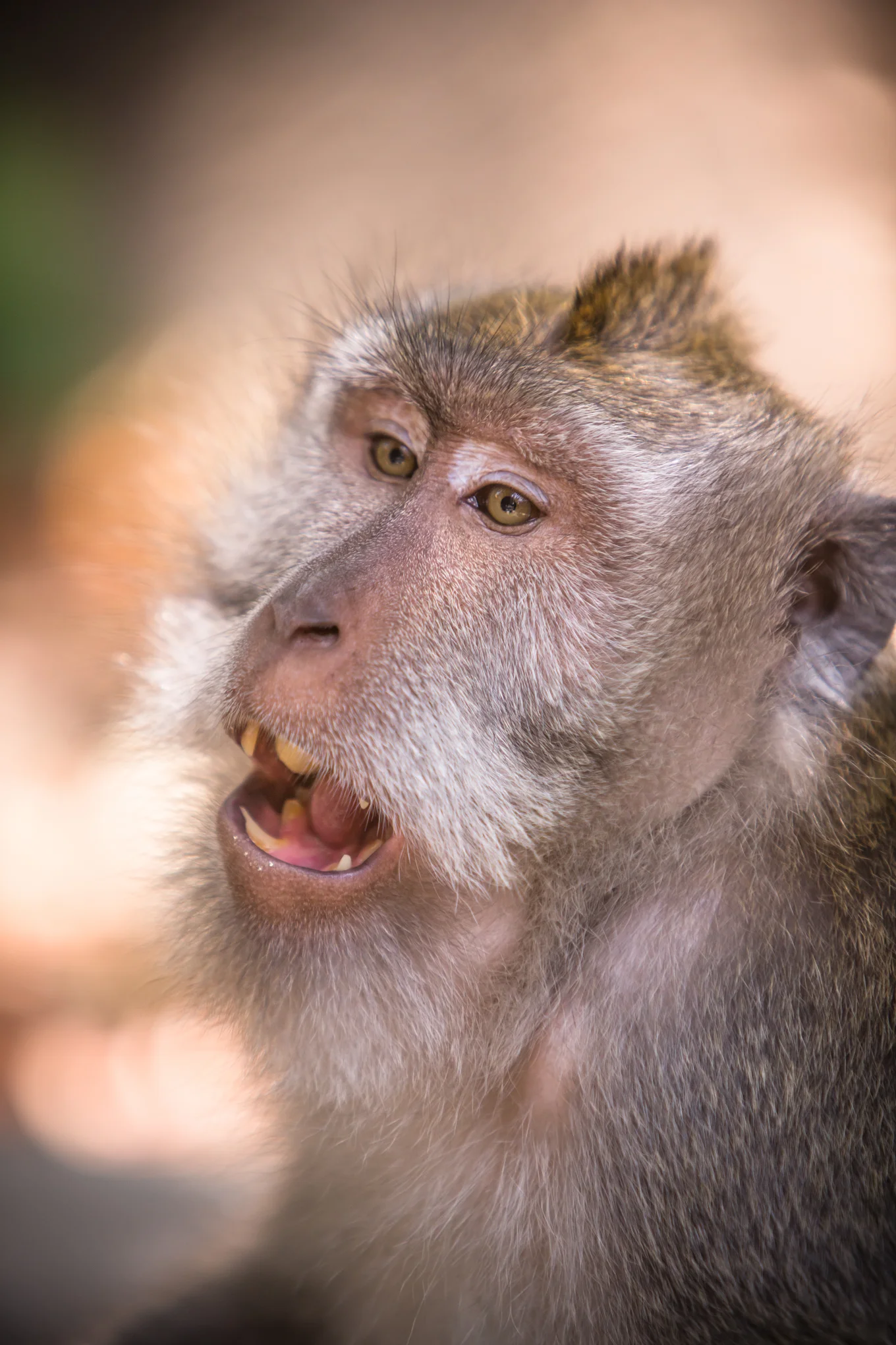 20150923-271-Bali-LoRes.jpg