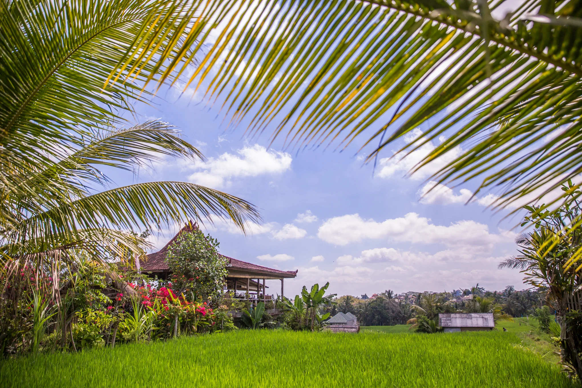 20150923-336-Bali-LoRes.jpg