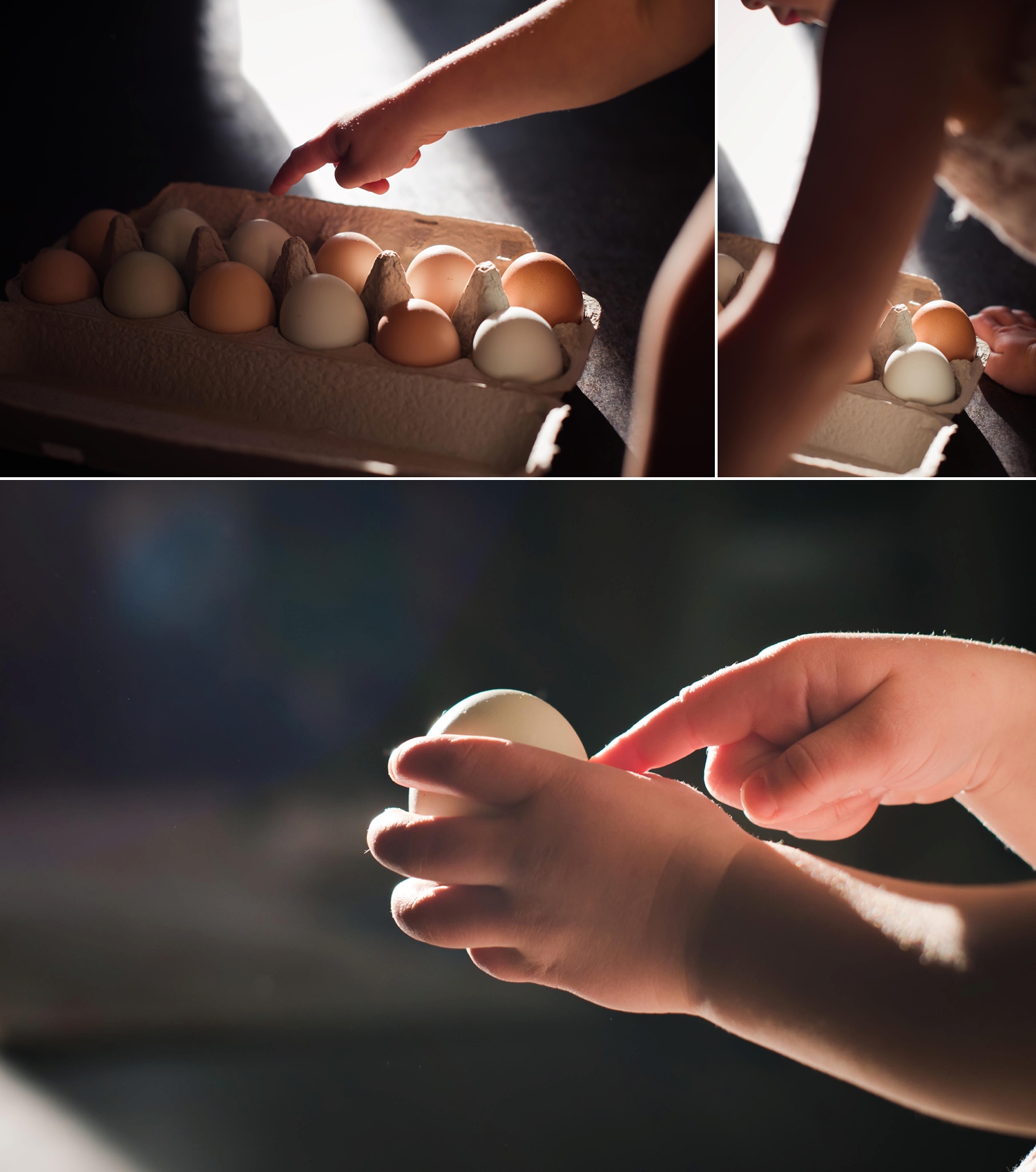eggs_0001.jpg