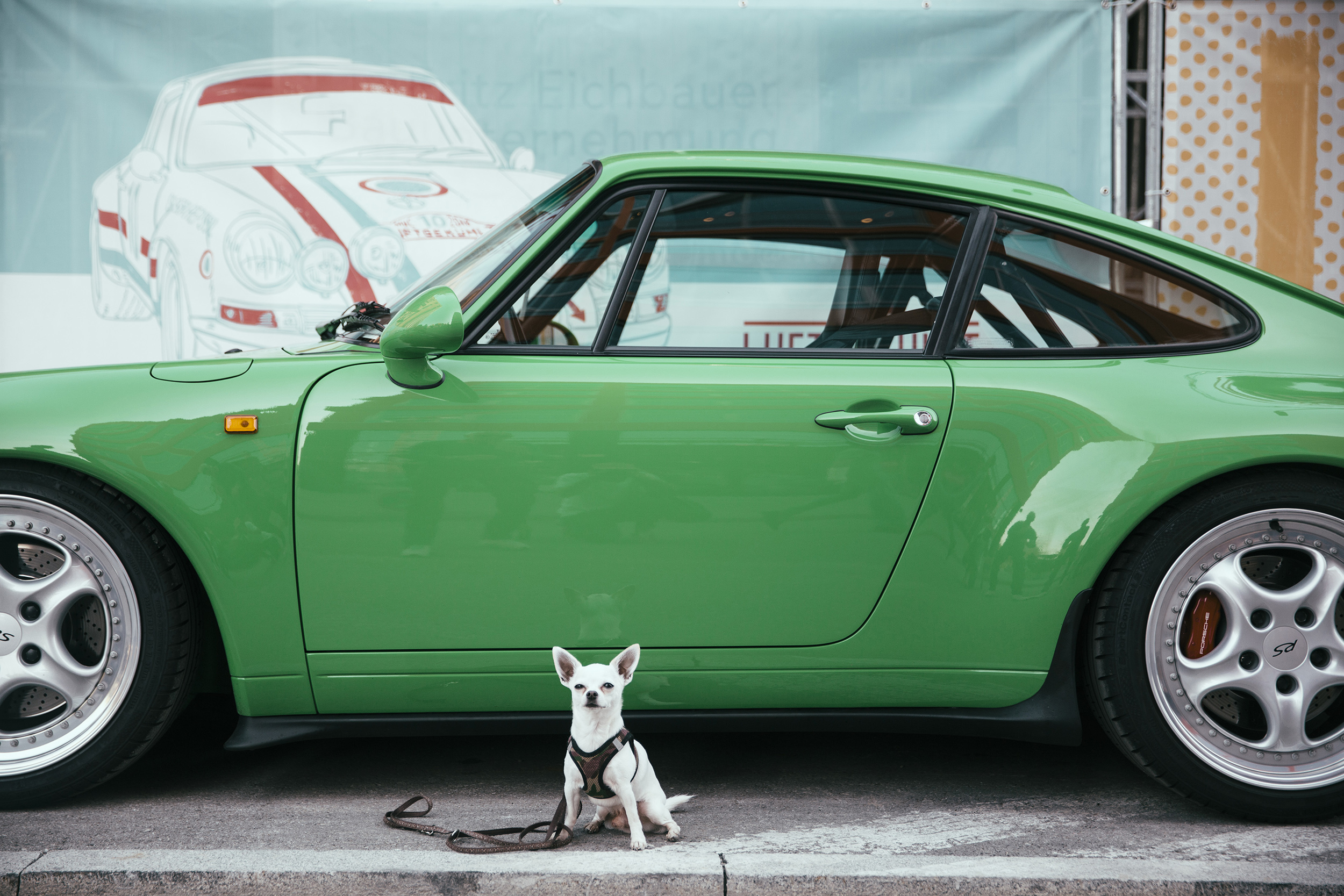 DB5A9647.jpg