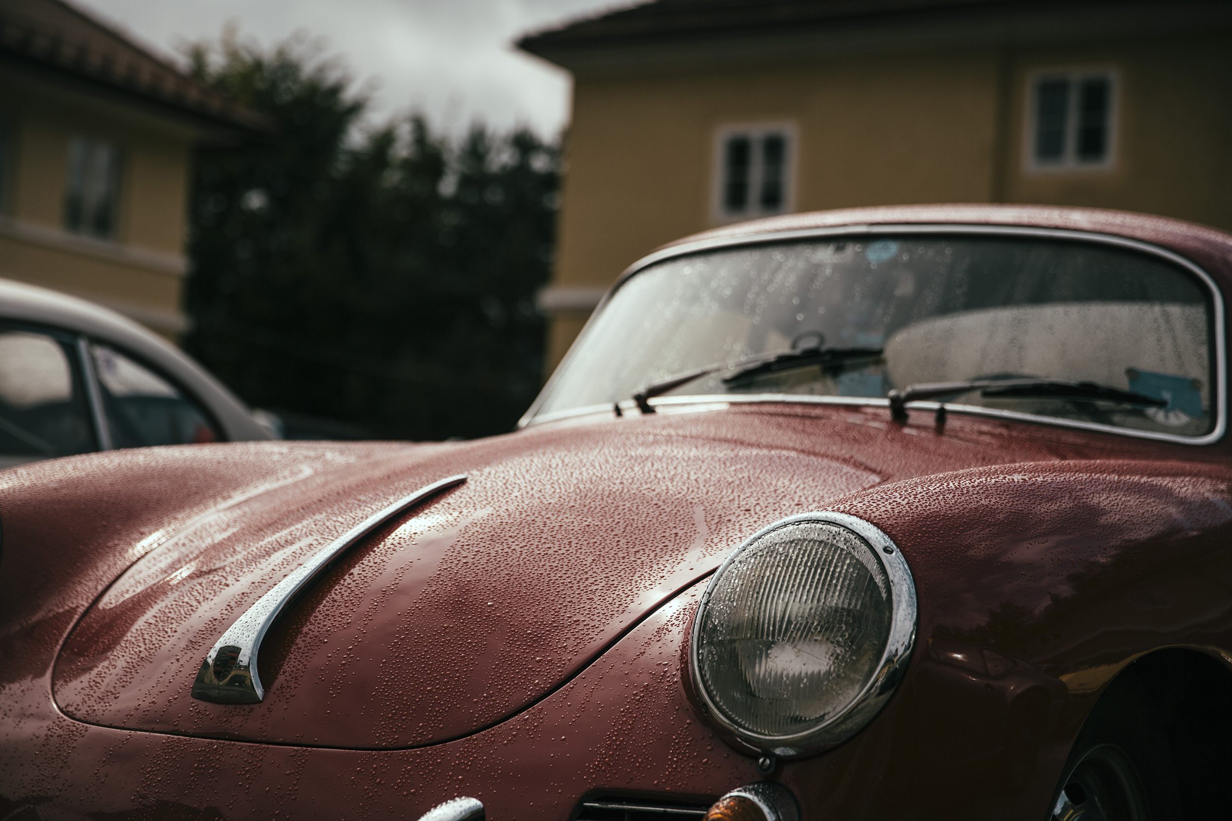 DB5A7733.jpg