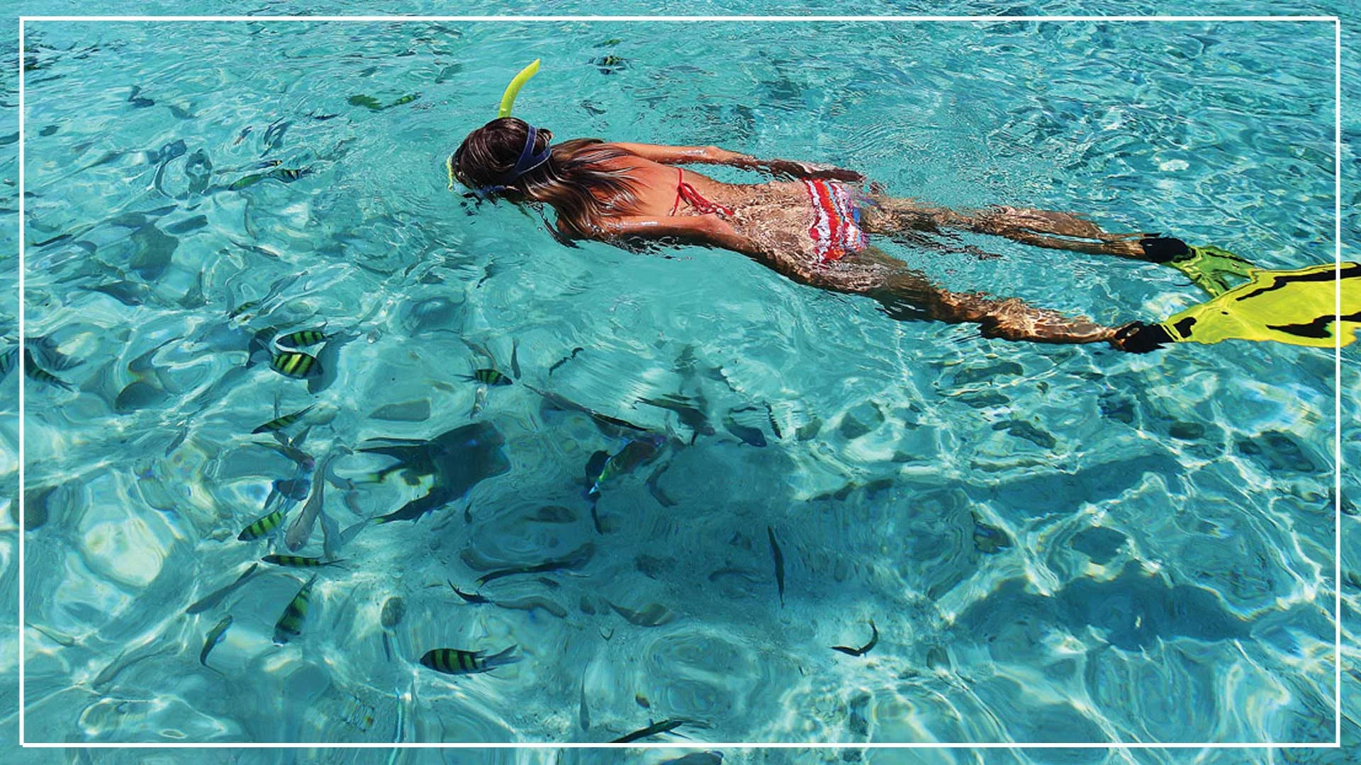 Snorkeling-gili-islands-Lesvillasottalia.jpg
