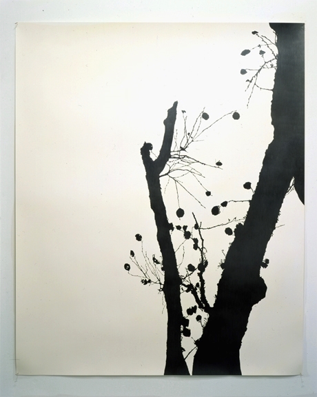 Twilight , 2003 pencil on watercolor paper 60" x 50" SOLD Private Collection NYC