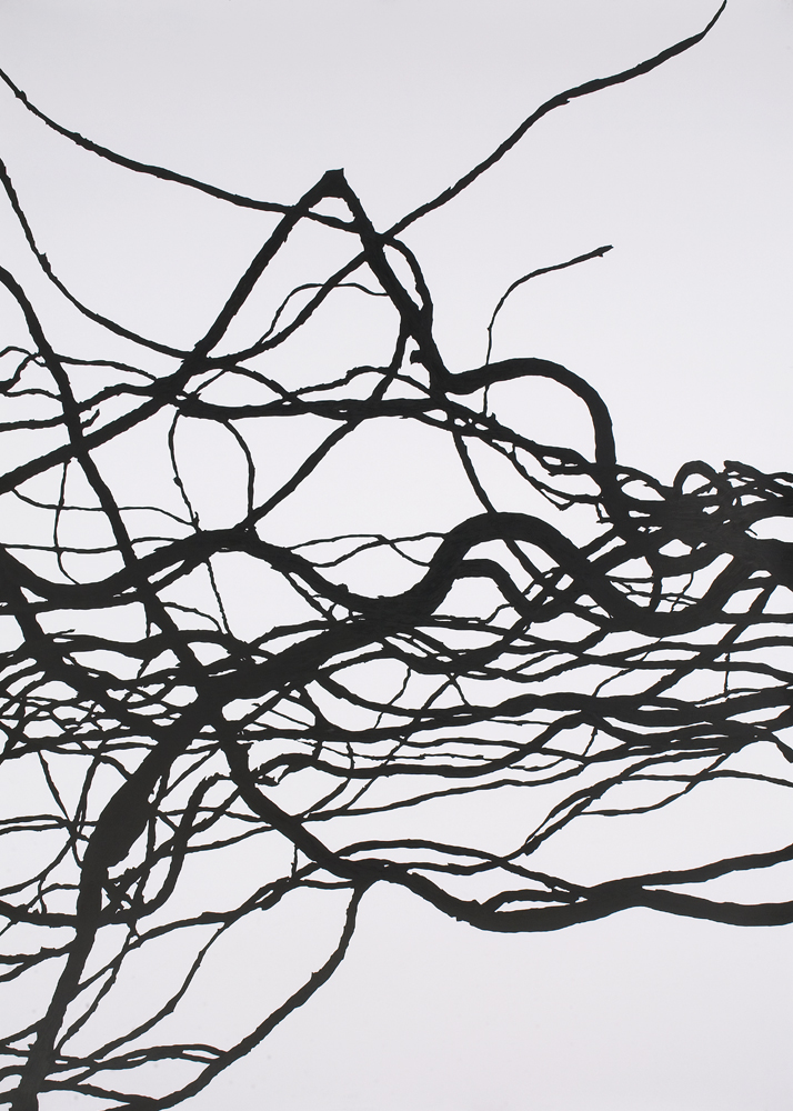 Meghan Gerety Abstract , 2007 Pencil on watercolor paper 60" x 41" SOLD