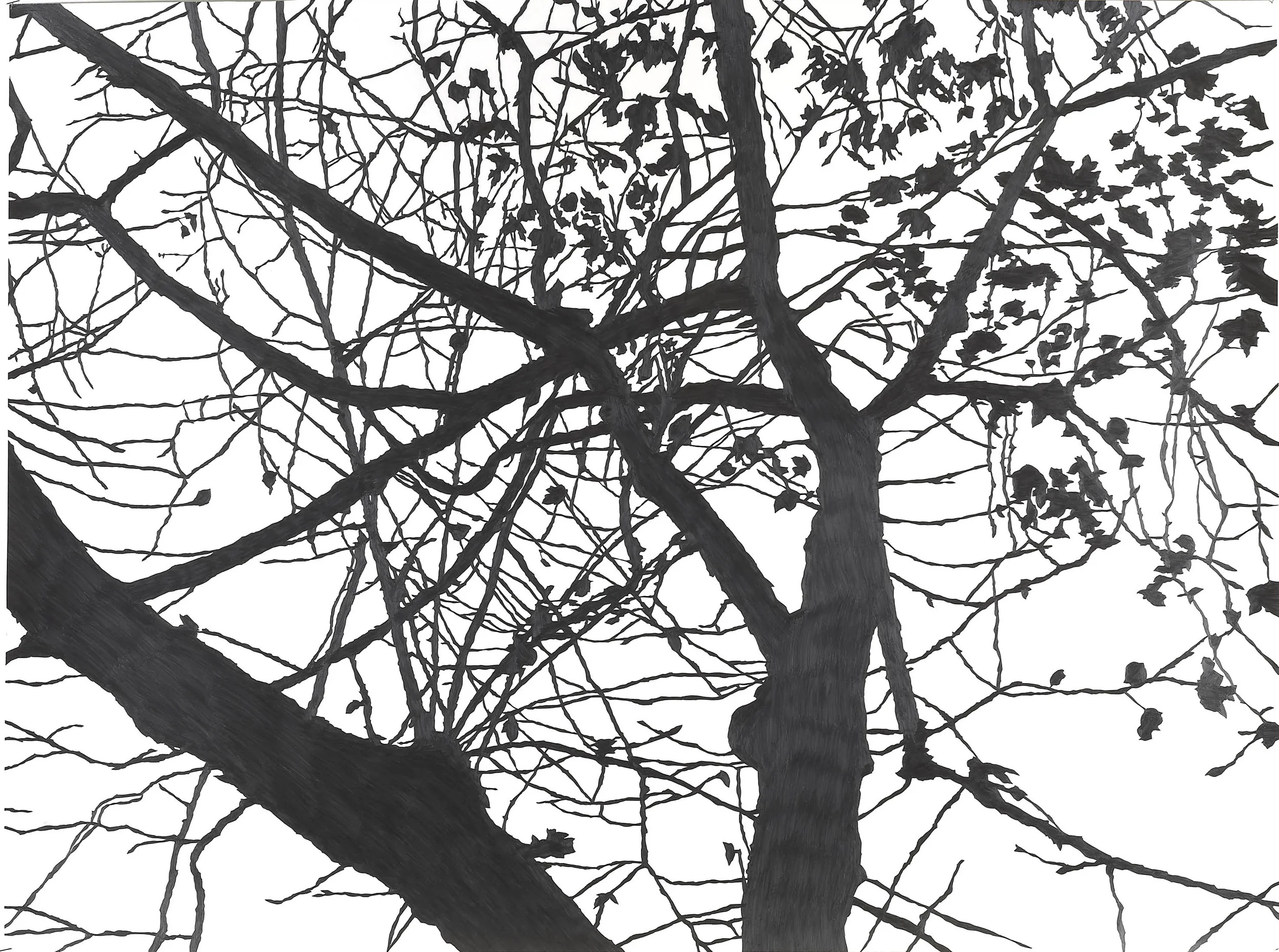 Meghan Gerety The Failure of Nostalgia , 2007 Pencil on watercolor paper 41" x 52" SOLD