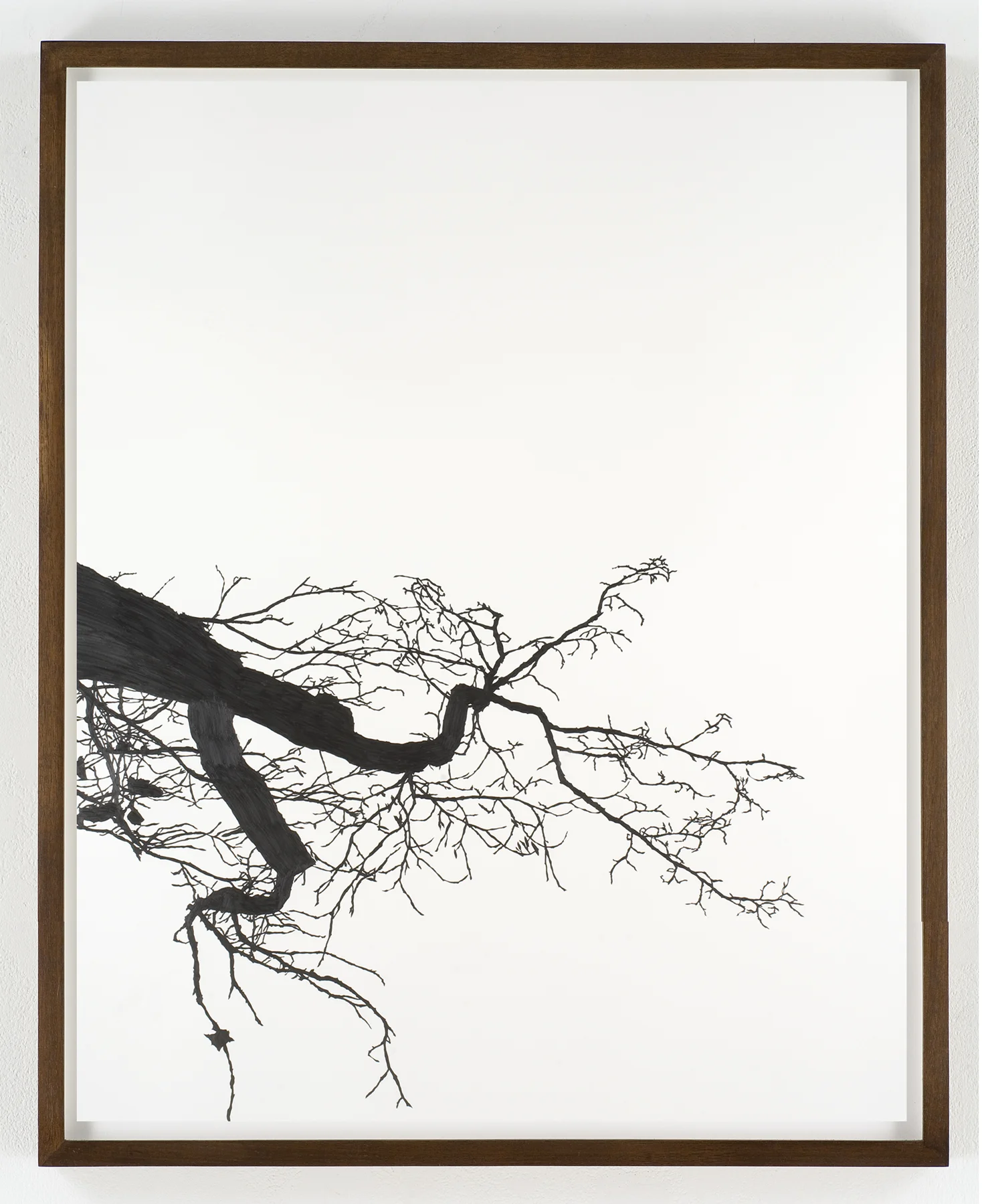 Meghan Gerety, 2008 Pencil on watercolor paper 60" x 40" framed in dark walnut