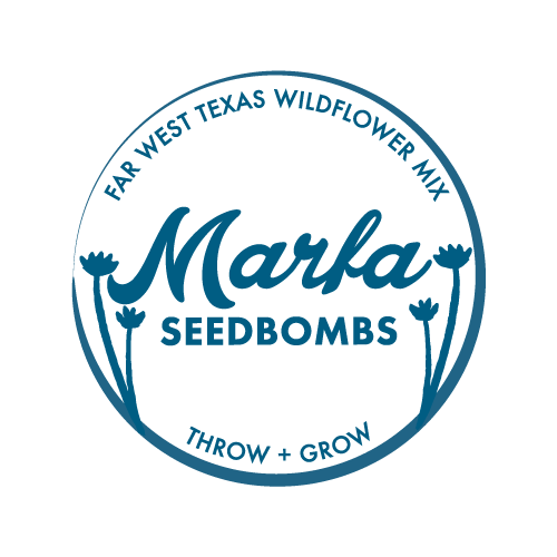 Marfa Seedbombs Brand Creation Packaging design and production