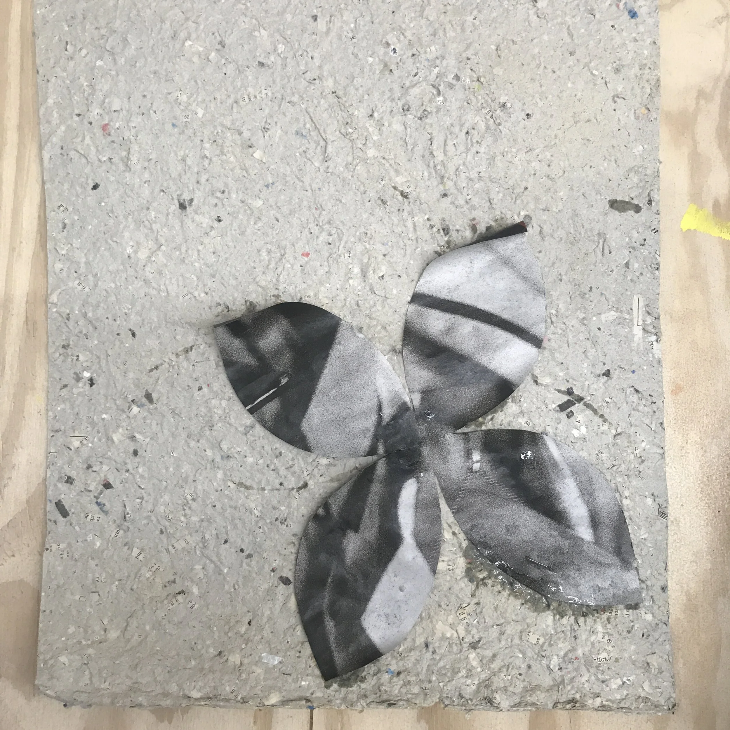  One, 2020 Paper on handmade paper  19” x 16” 