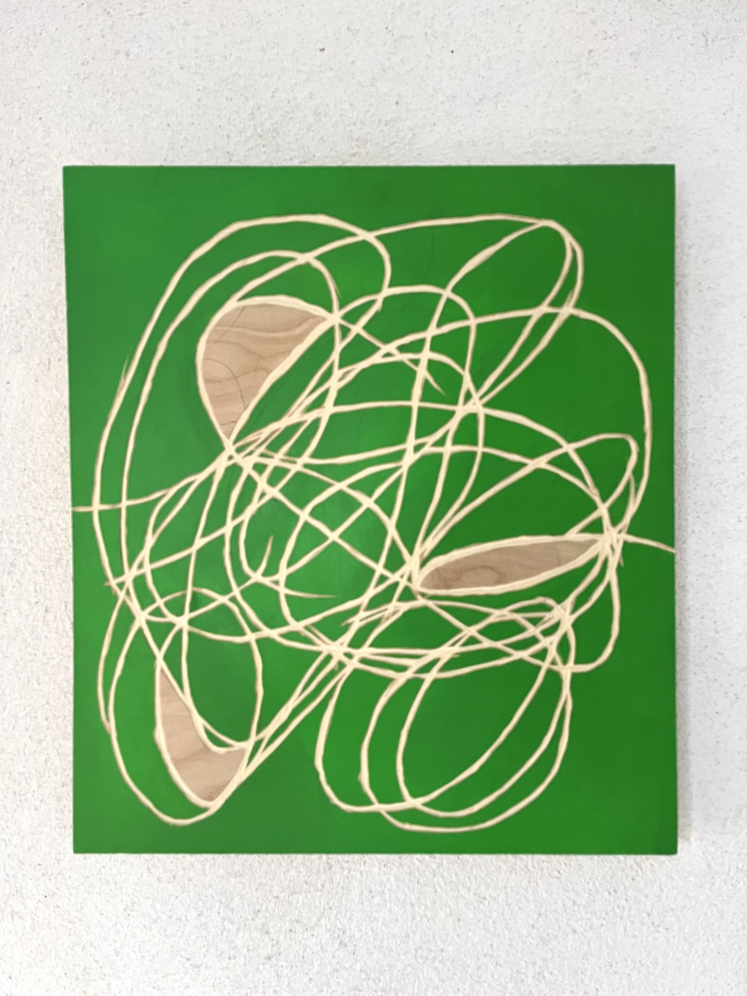   Vetiver , 2024 18” x 16” x 1” Acrylic and pencil on carved plywood 