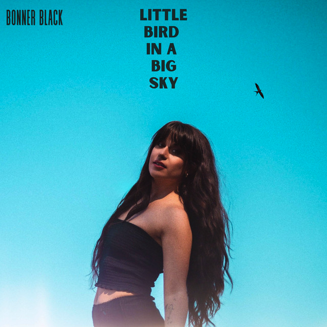  Little Bird In A Big Sky - Bonner Black 