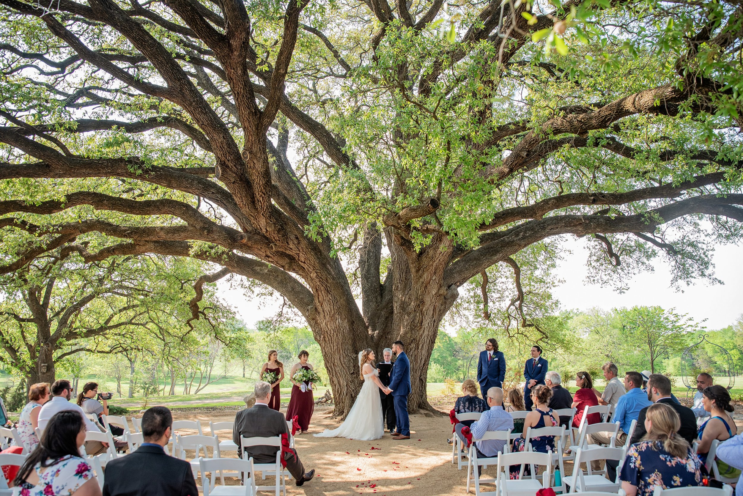 Stephanierayphoto-7993.jpg