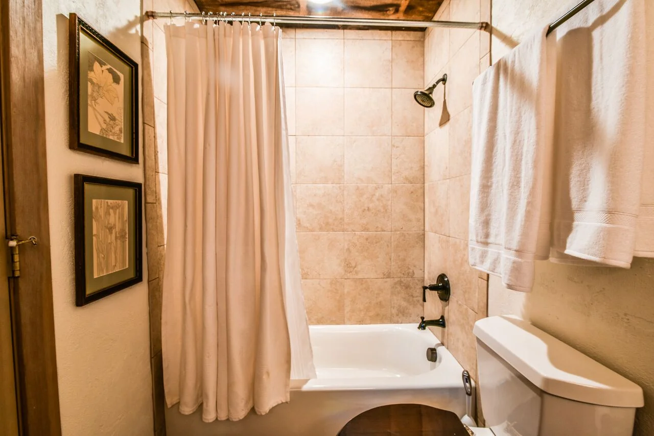 4410 Orofino Pl Castle Rock_-8_preview.jpg