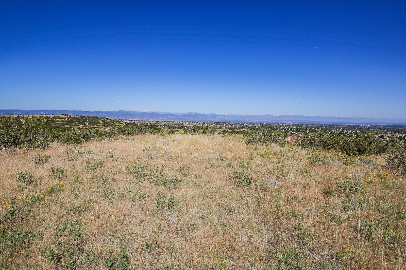 426_mcarthur_ranch_dr_littleton_co_27_of_97.jpg