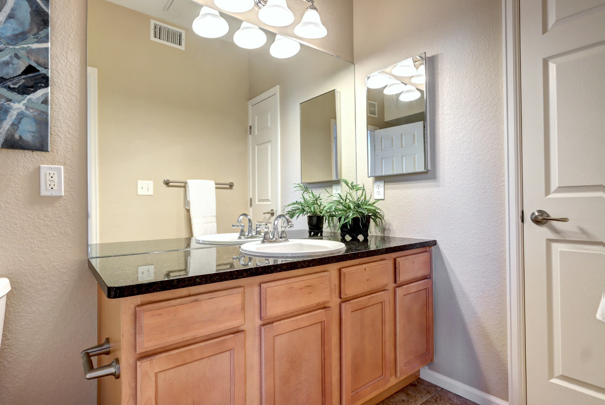 17520 Nature Walk Tr 302-print-027-032-Bathroom-3472x2320-300dpi.jpg