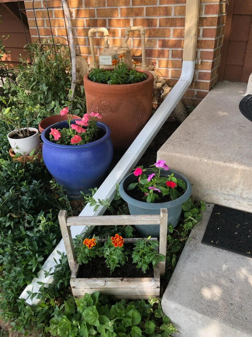 photo_2025-03-18 12.08.35.jpeg