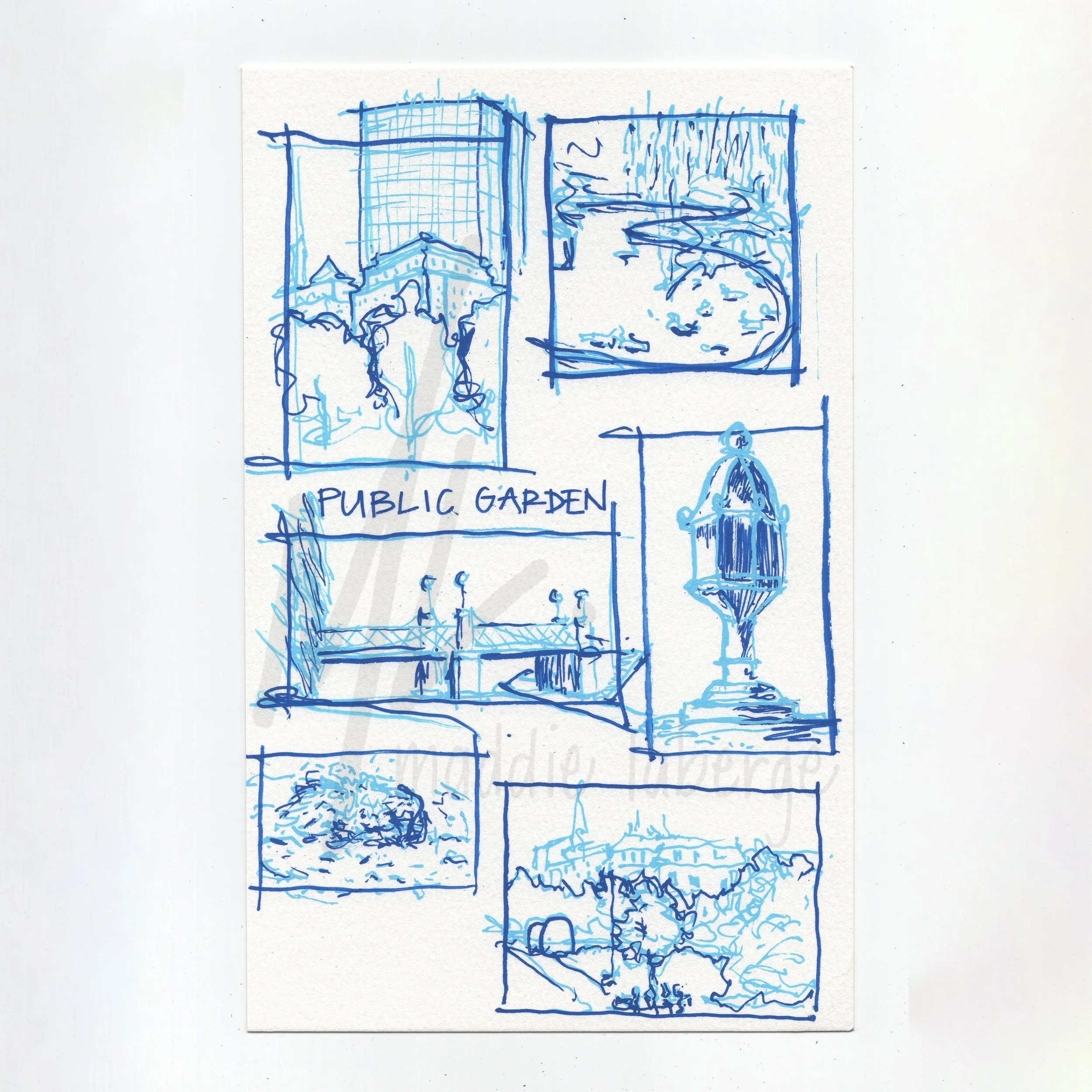 5.375x8.5 - Public Garden_watermark.jpg