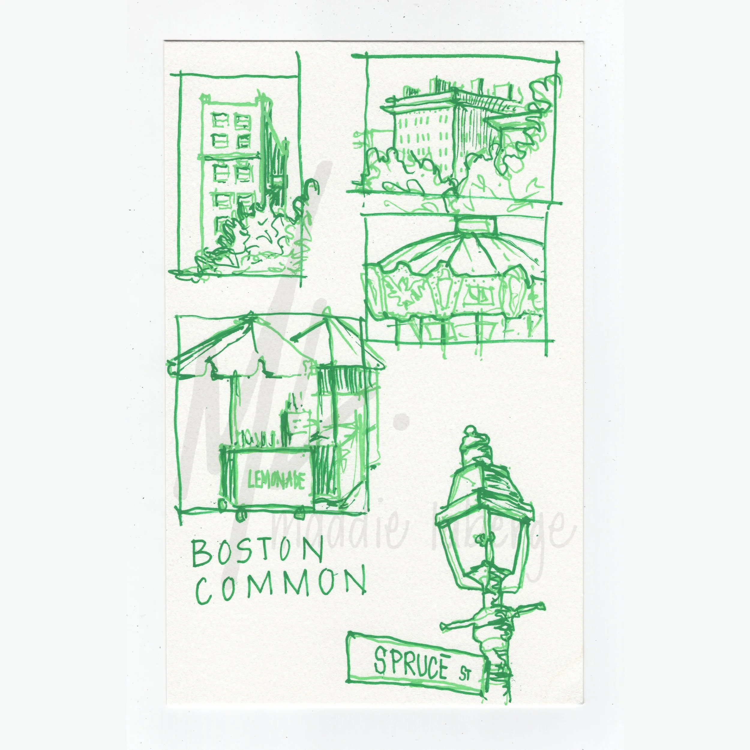 5.375x8.5 - Boston Common_watermark.jpg