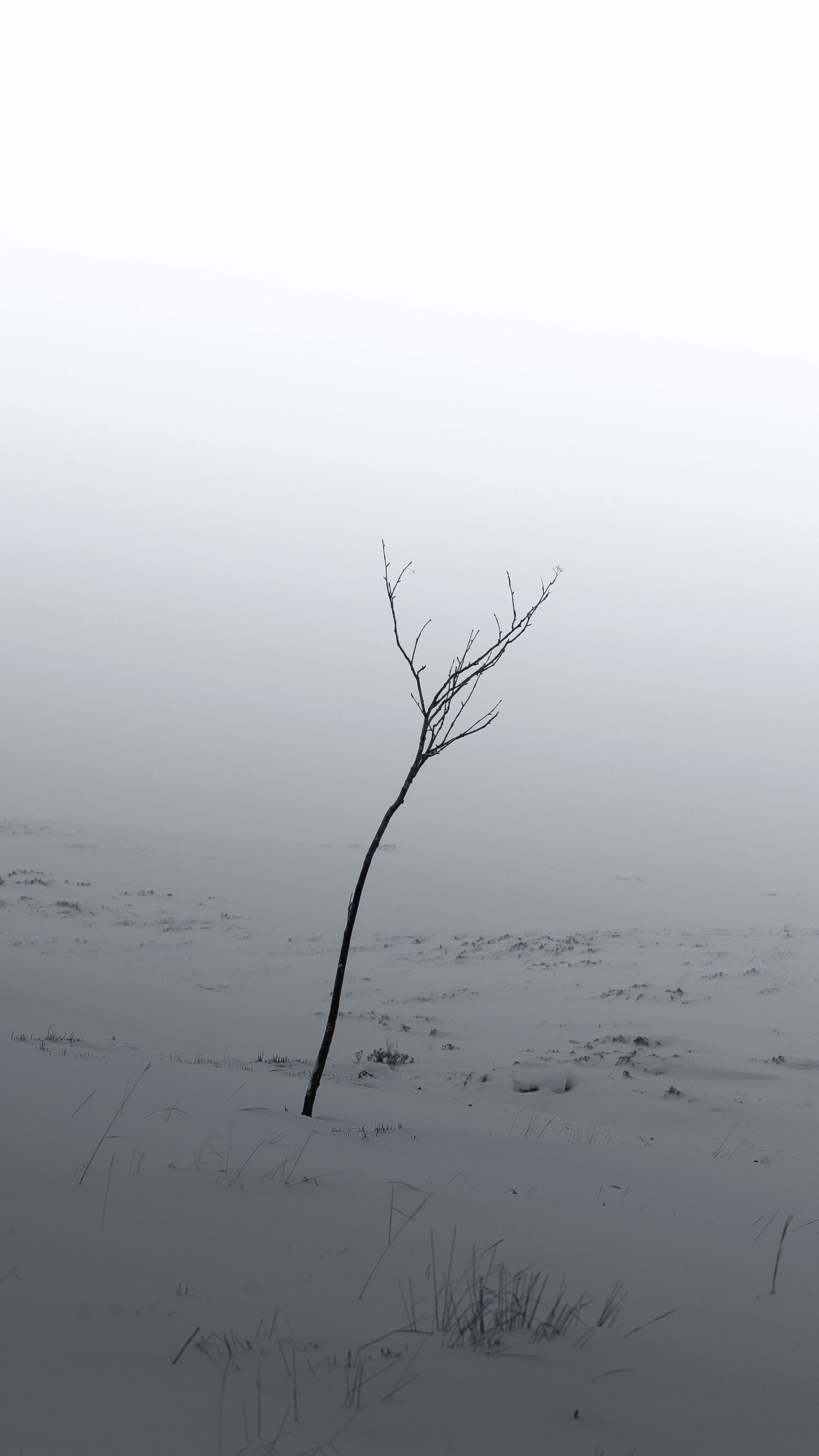 Why Believing In The Sacred Purpose Of Life Is Good For Us