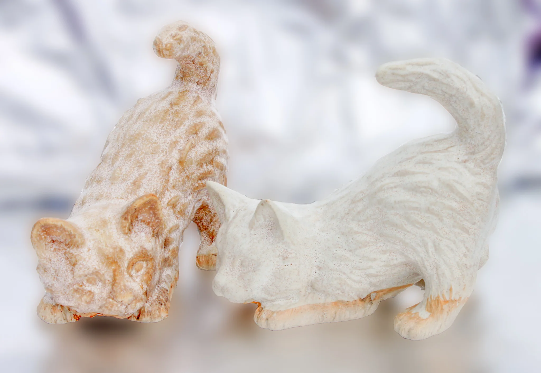 Gumbo and Cream Cats-Edit.jpg