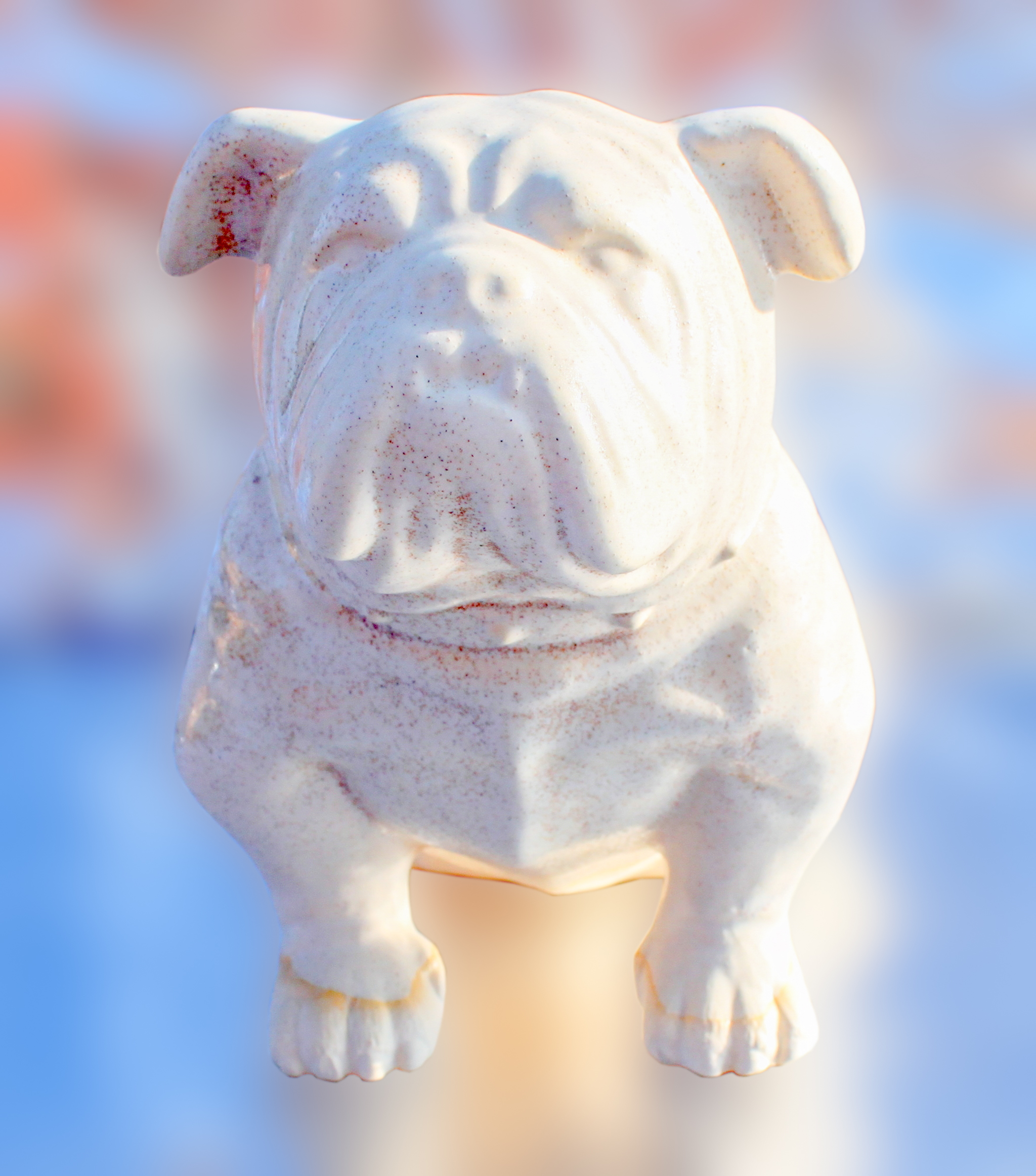 Cream Small Bulldog-Edit.jpg