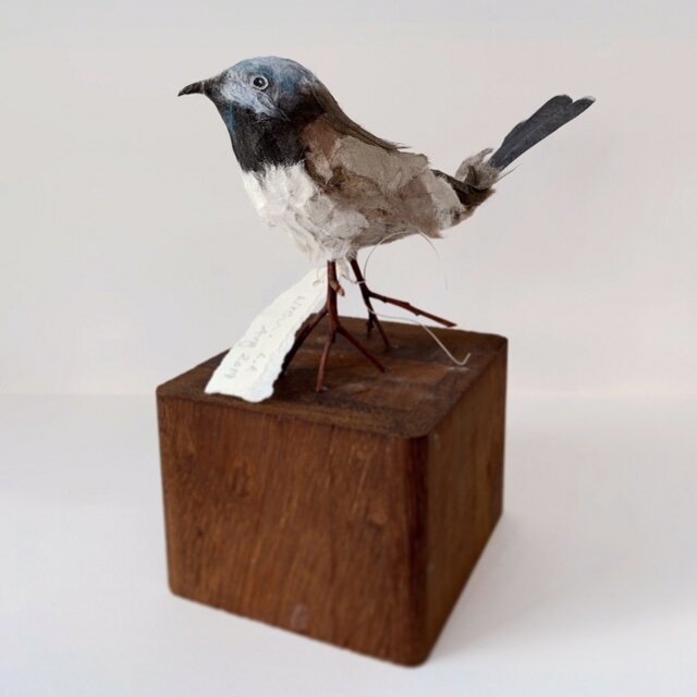Lesley Kendall Paper and twig wren, life size, 2019.JPG