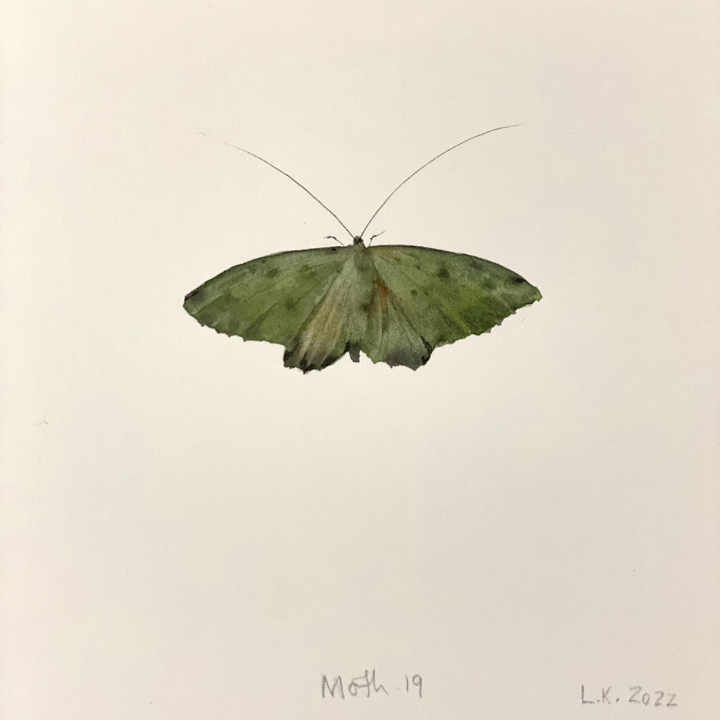 moth painting 19a.jpg