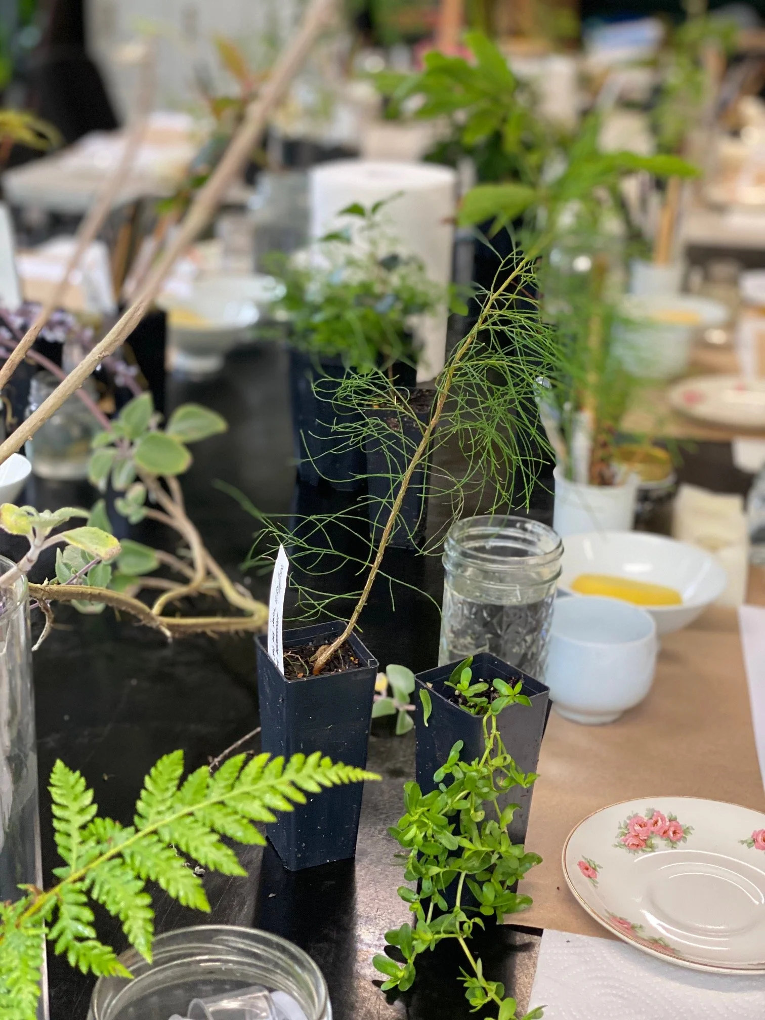 workshops — art + nature