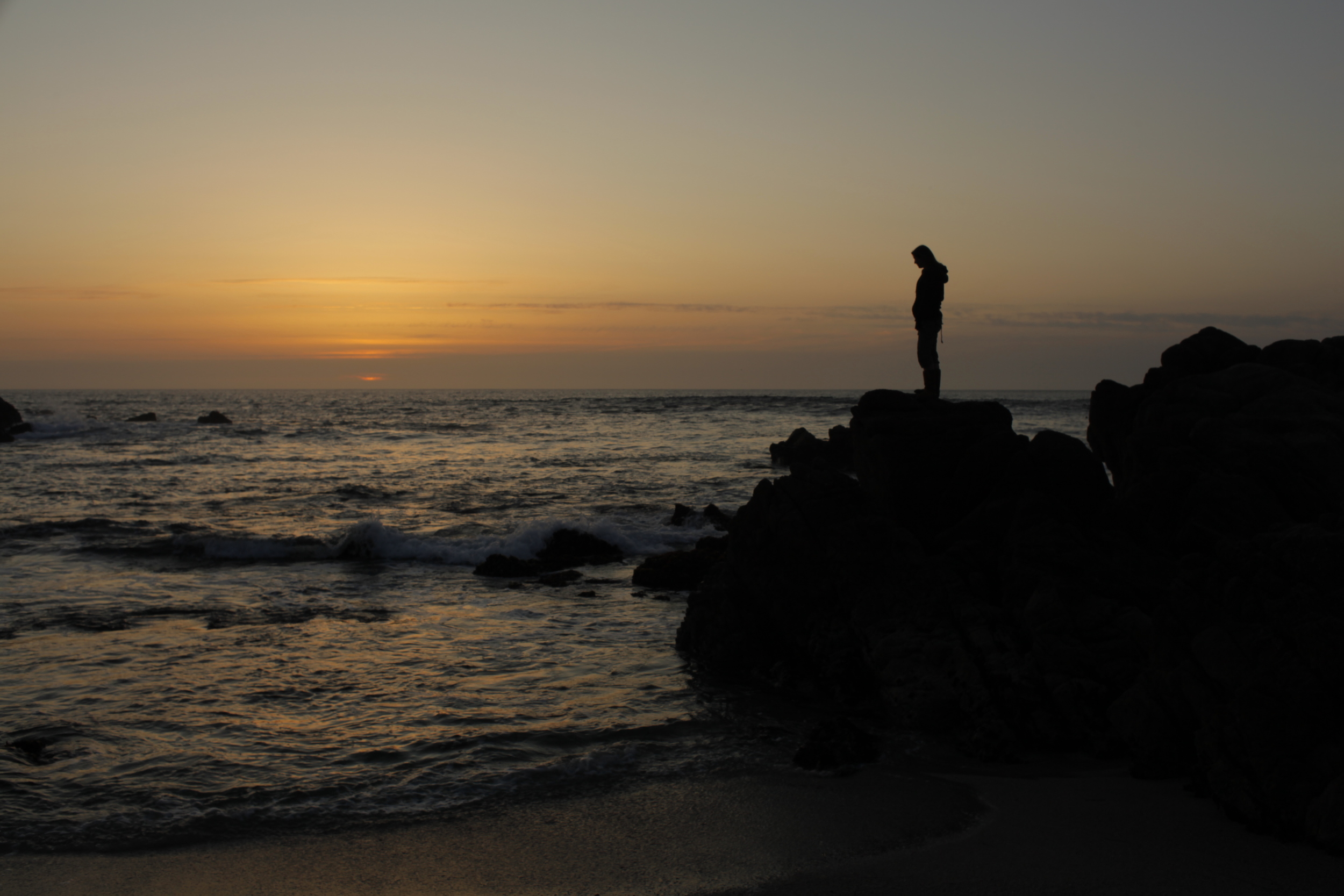_MG_5592.JPG