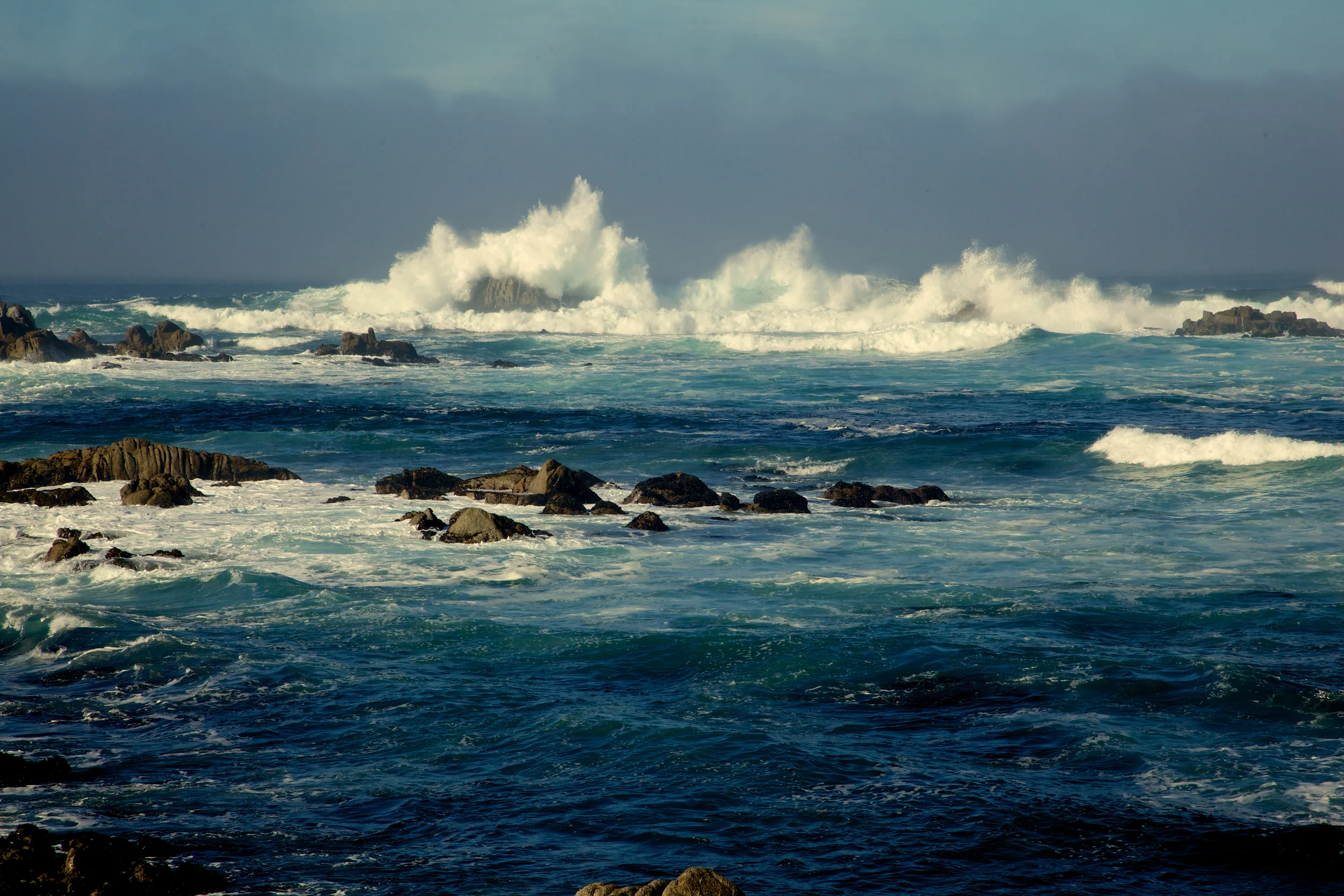 _MG_6089.jpg
