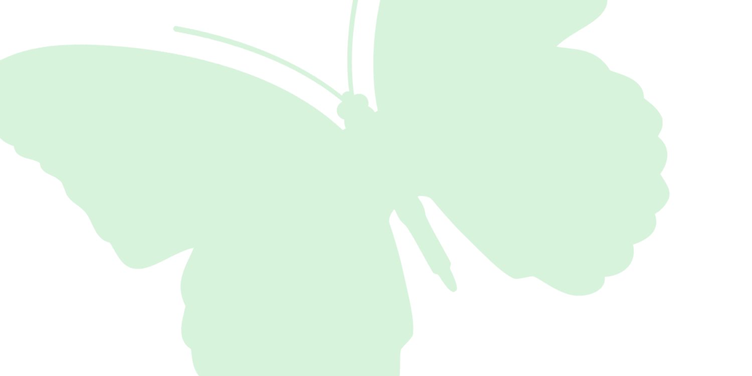 Medium Mint Mist Butterfly White Background Image.png