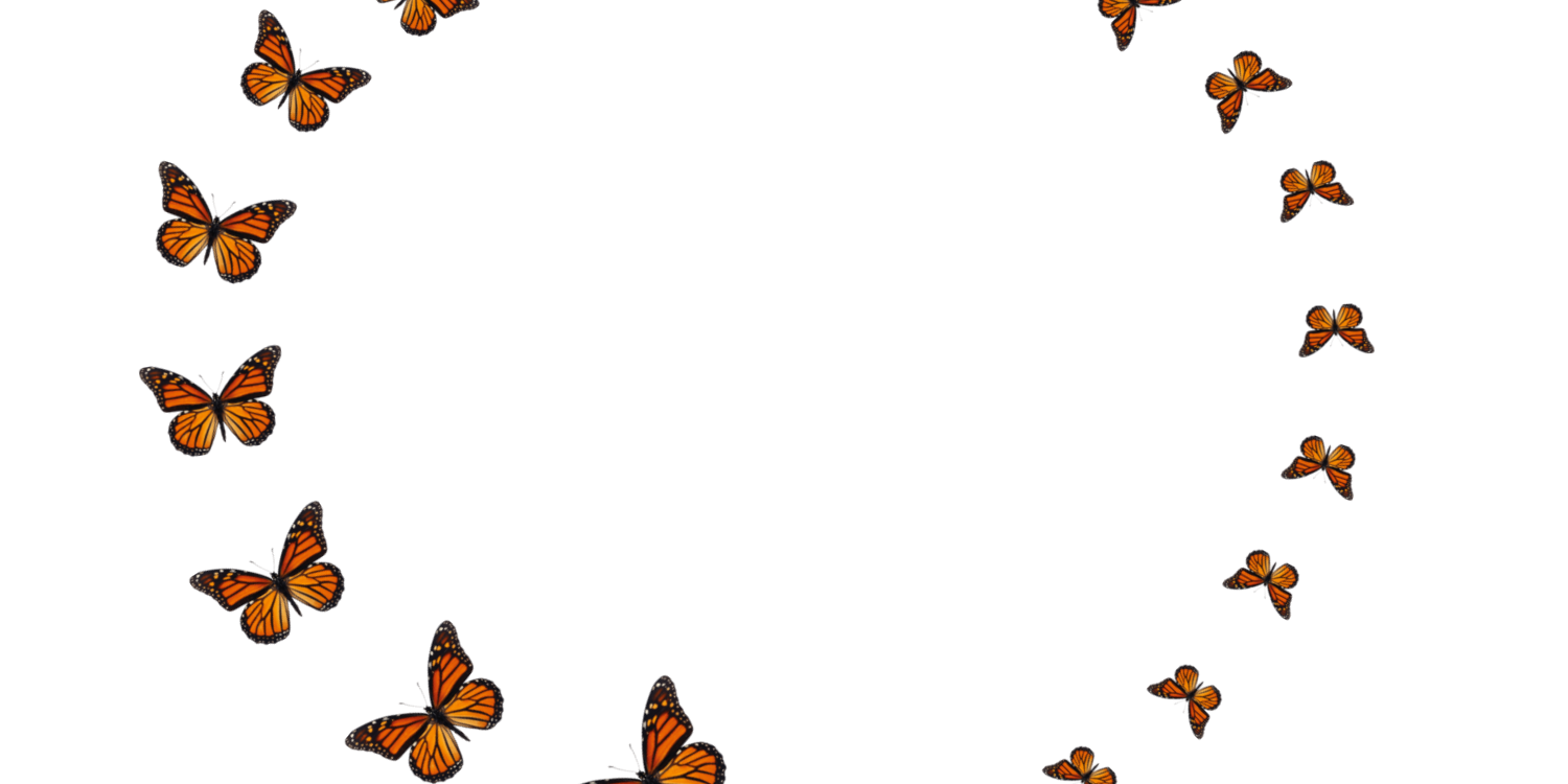 Our Mission Background Banner.png