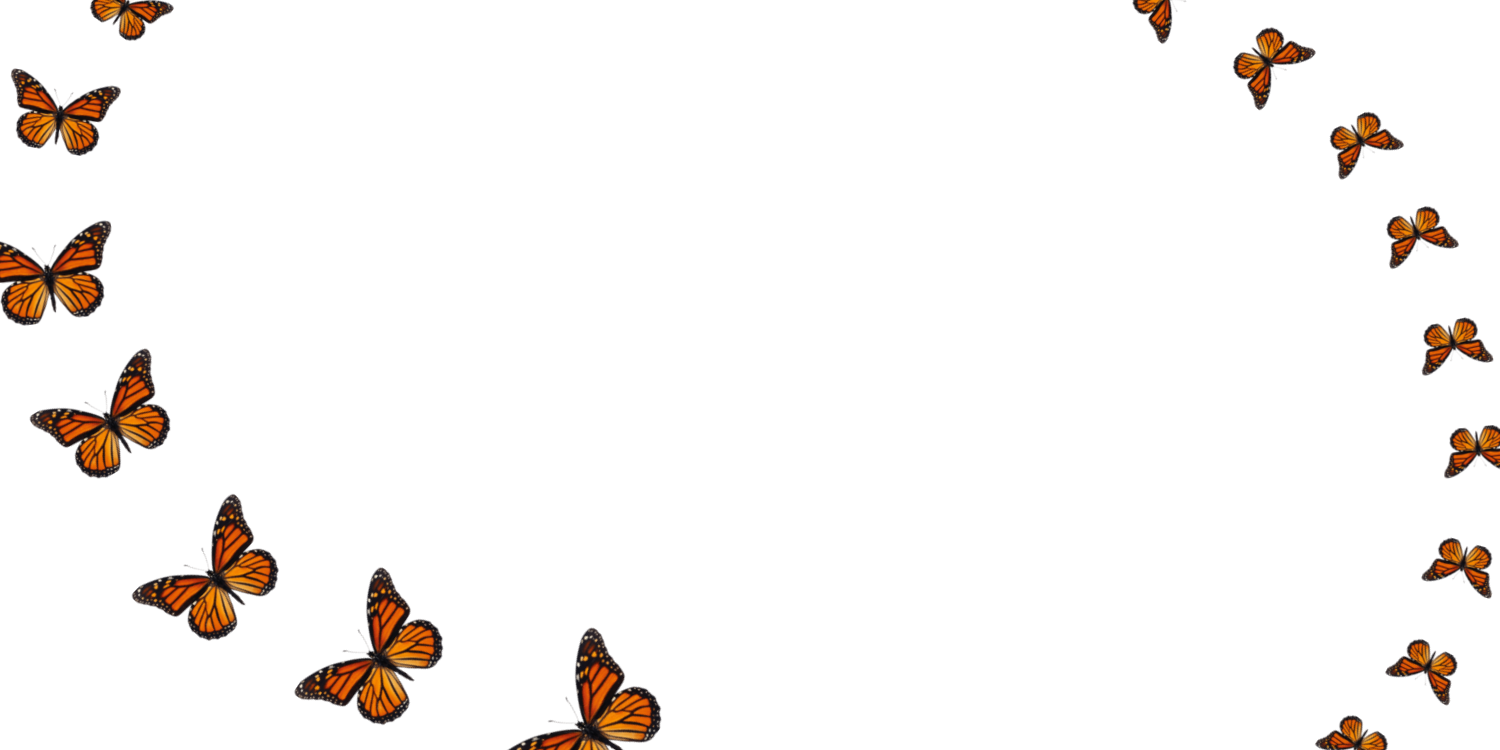 Monarch Butterflies Soaring Background Image.png