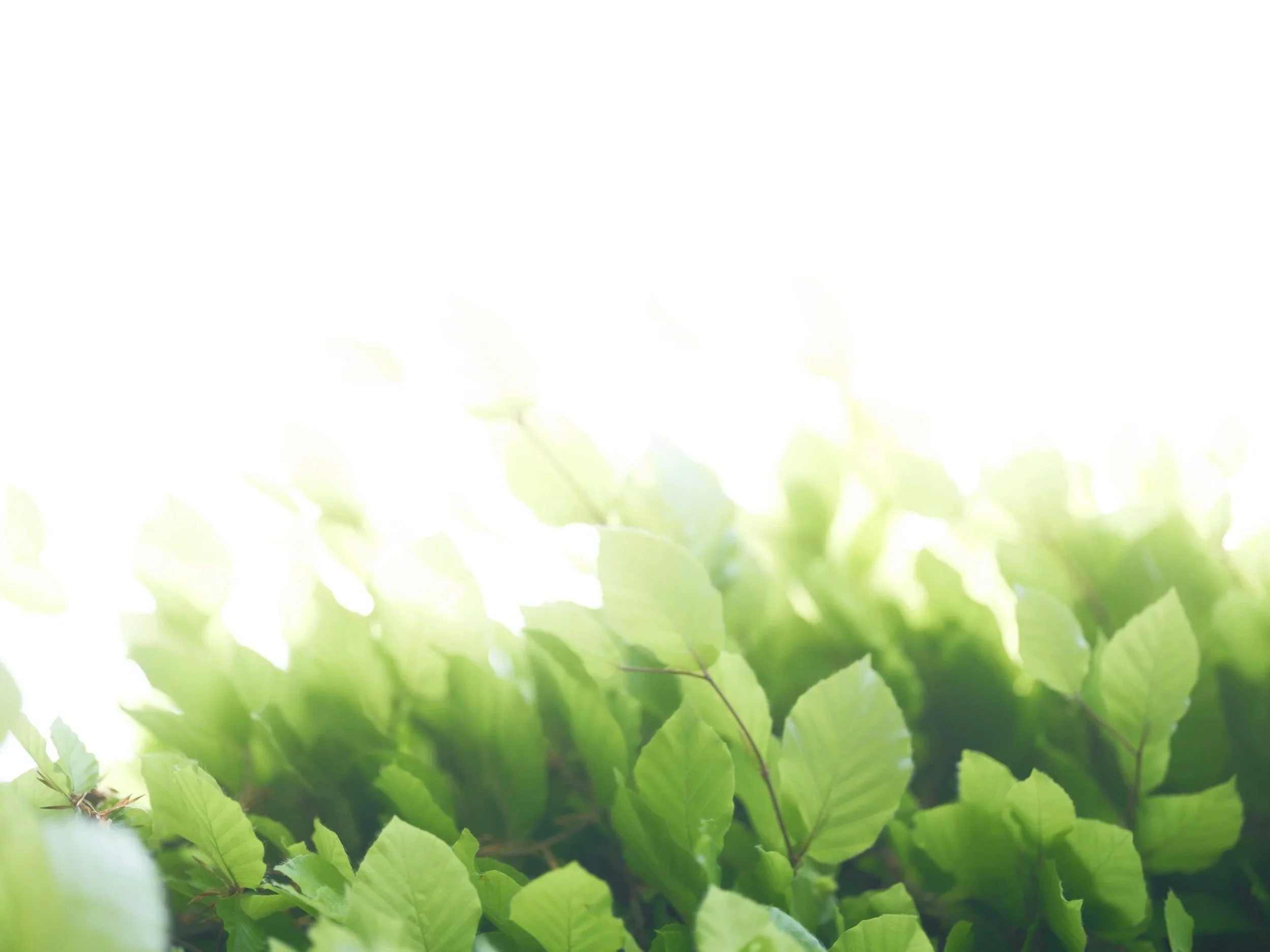 unsplash-image-_Kff5YNVsYs.jpg