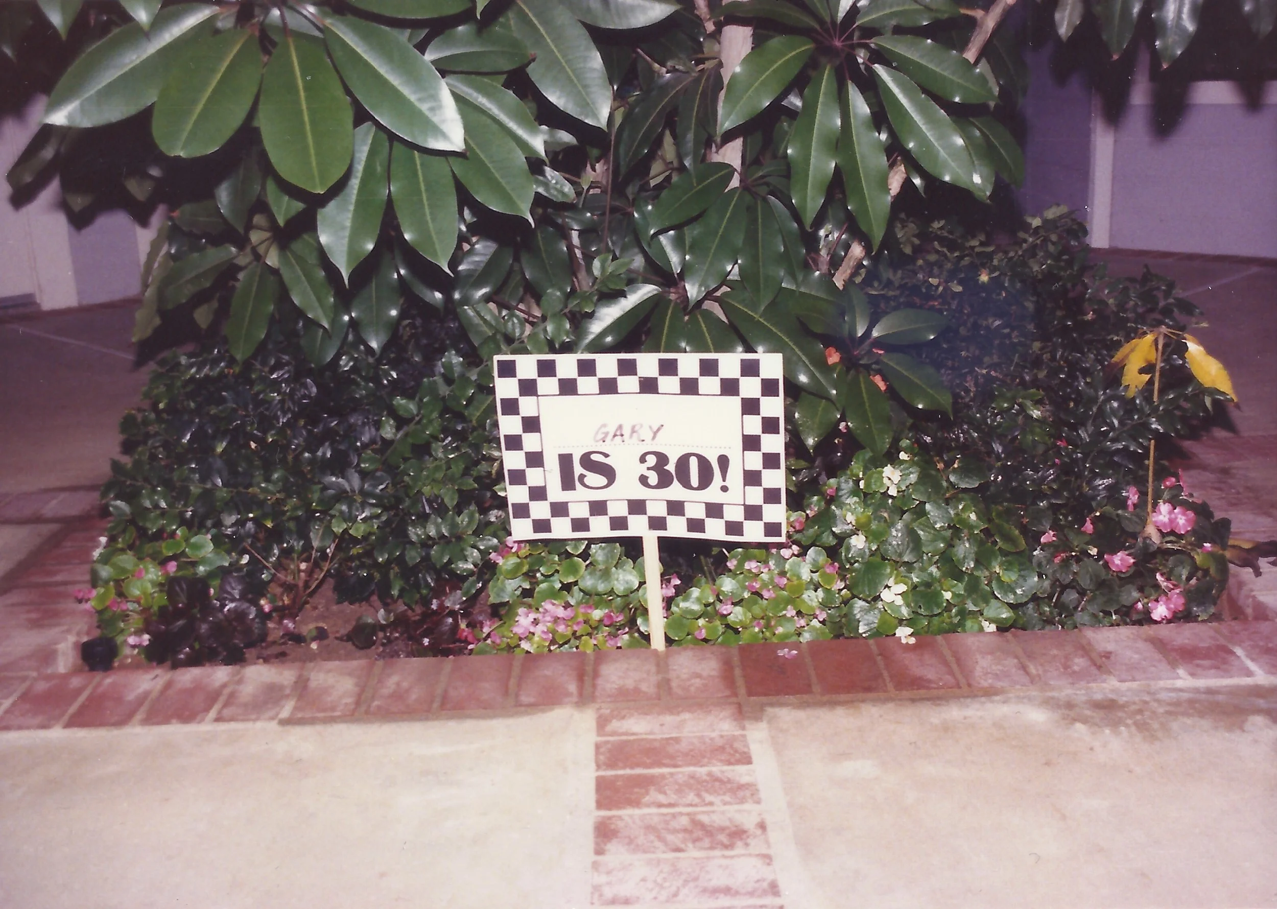 Gary 31.jpeg